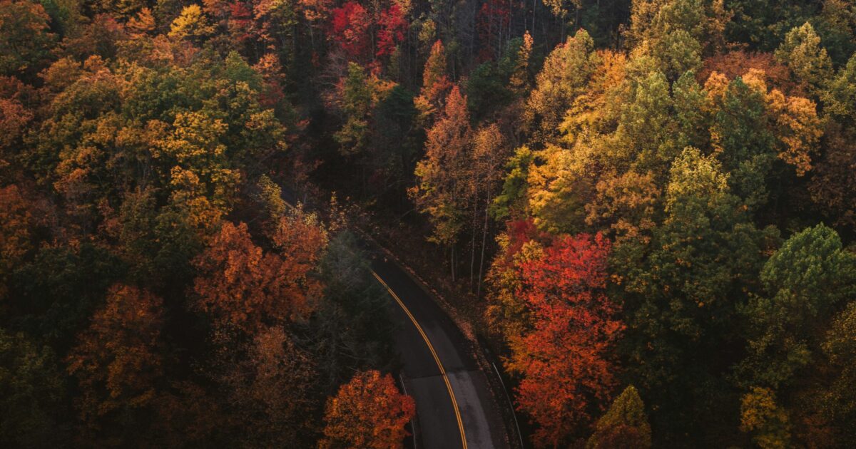 September feels different on the roads in Atlantic Canada. School zones are back, wildlife is more active, and the sun sits lower in the sky right at rush hour. Most people don't think about their insurance when the season changes, but September is actually one of the better times to take a quick look at what your policy covers, before the conditions that tend to generate claims are fully underway.